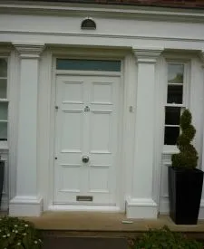 223 - Flush panelled door with bolextion mould sprayed in white